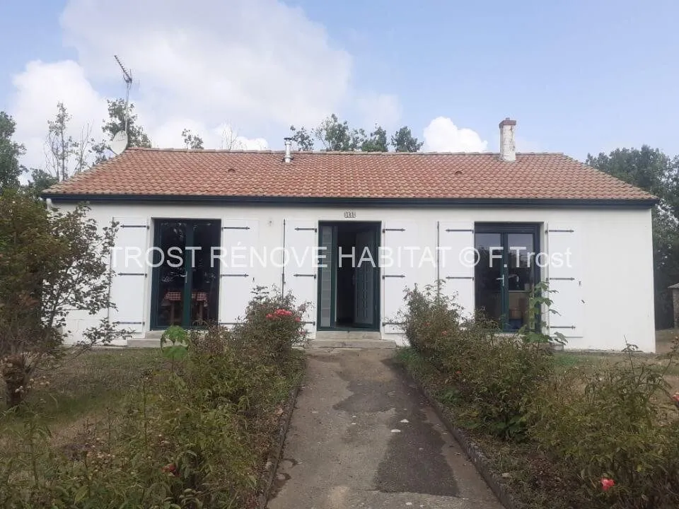 Démoussage d'une toiture en tuiles, Cholet