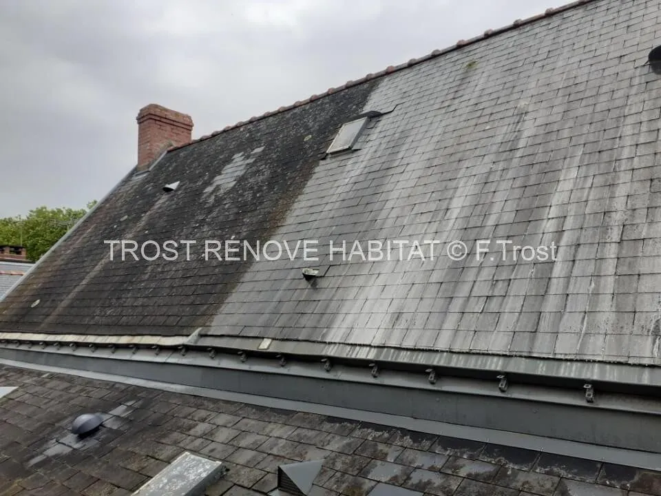 Traitement anti-mousse d'une toiture, Angers