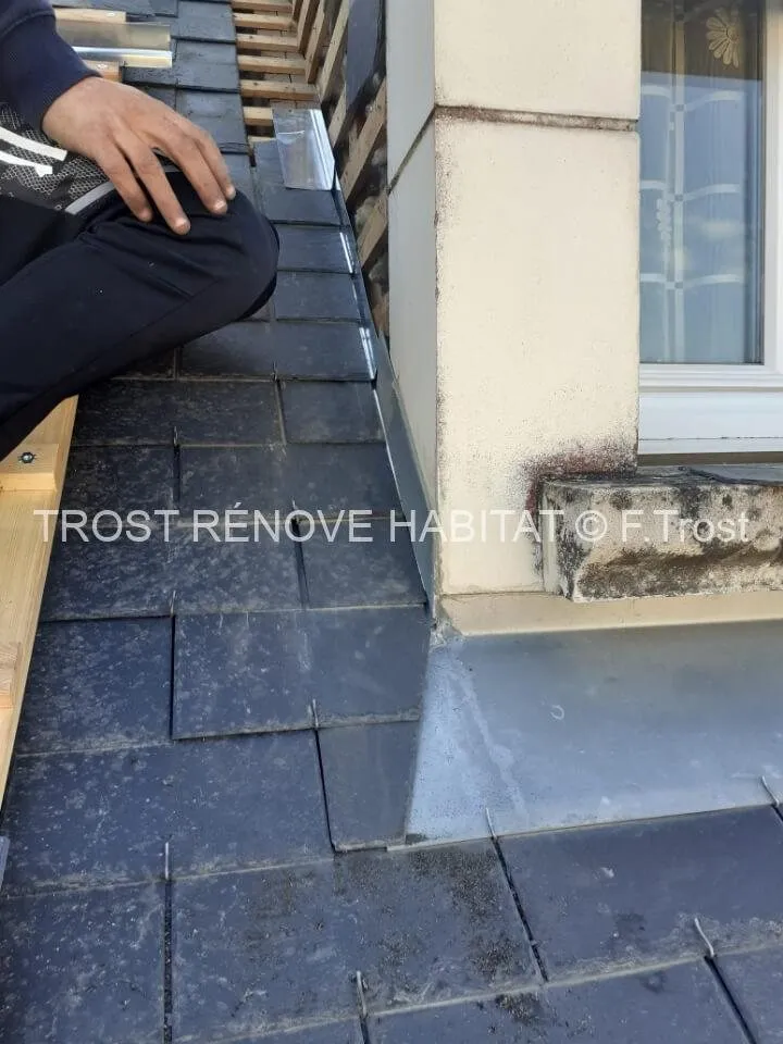 Recherche d'une fuite sur une toiture, Trélazé