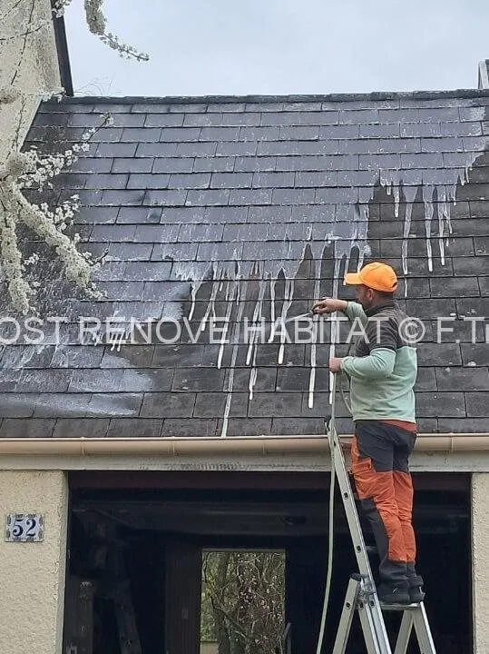 Démoussage d'une toiture à Angers