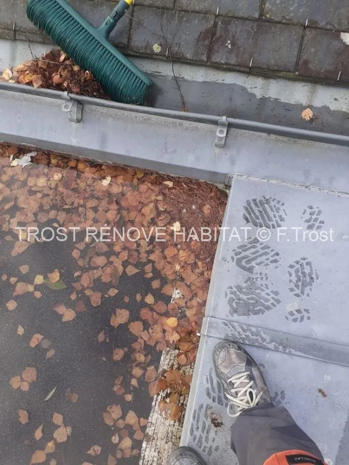 Avant : Nettoyage d'un toit terrasse à Angers