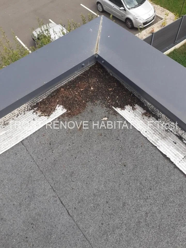 Nettoyage d'un toit terrasse à Trélazé