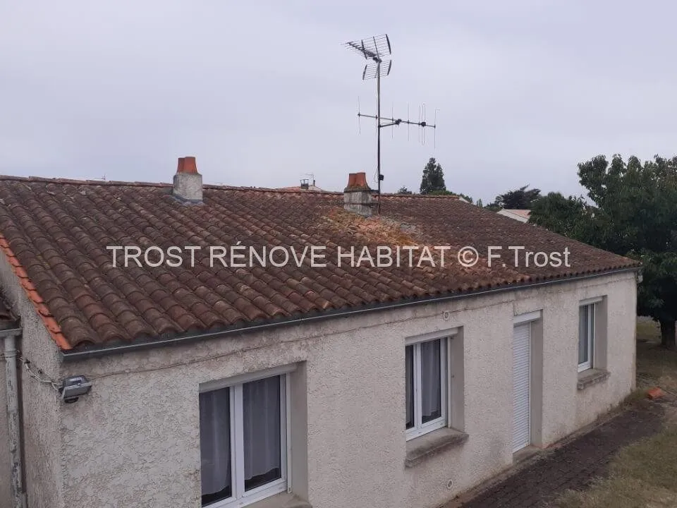 Avant : Démoussage d'une toiture à Chemillé