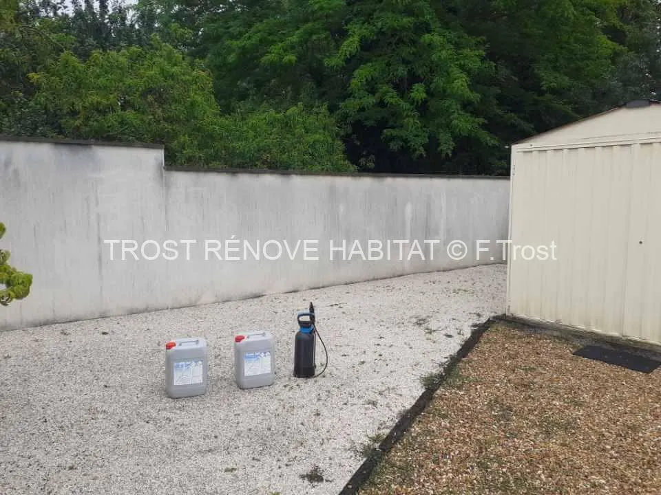 Avant : Nettoyage d'un mur de clôture, Sainte-Gemmes-sur-Loire