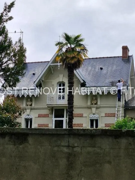 Démoussage d'une toiture à Avrillé