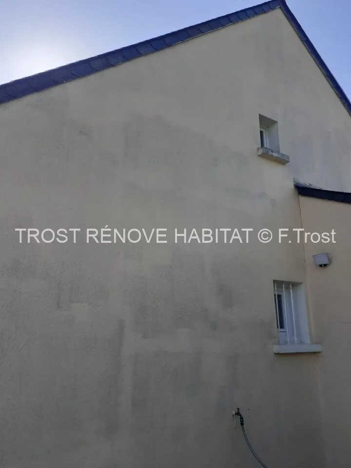 Avant : Nettoyage d'une façade à Bauné (Loire-Authion)
