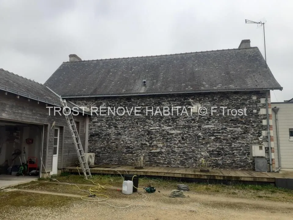 Traitement anti-mousse d'une toiture, Pellouailles-les-Vignes