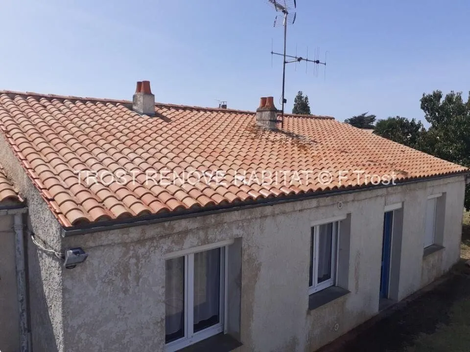 Après : Démoussage d'une toiture à Chemillé