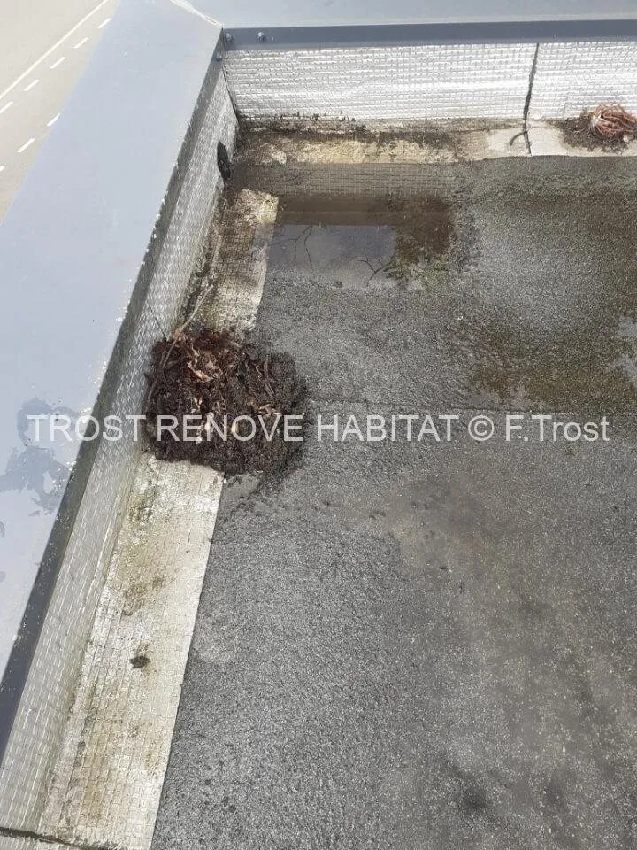 Nettoyage d'un toit terrasse à Trélazé